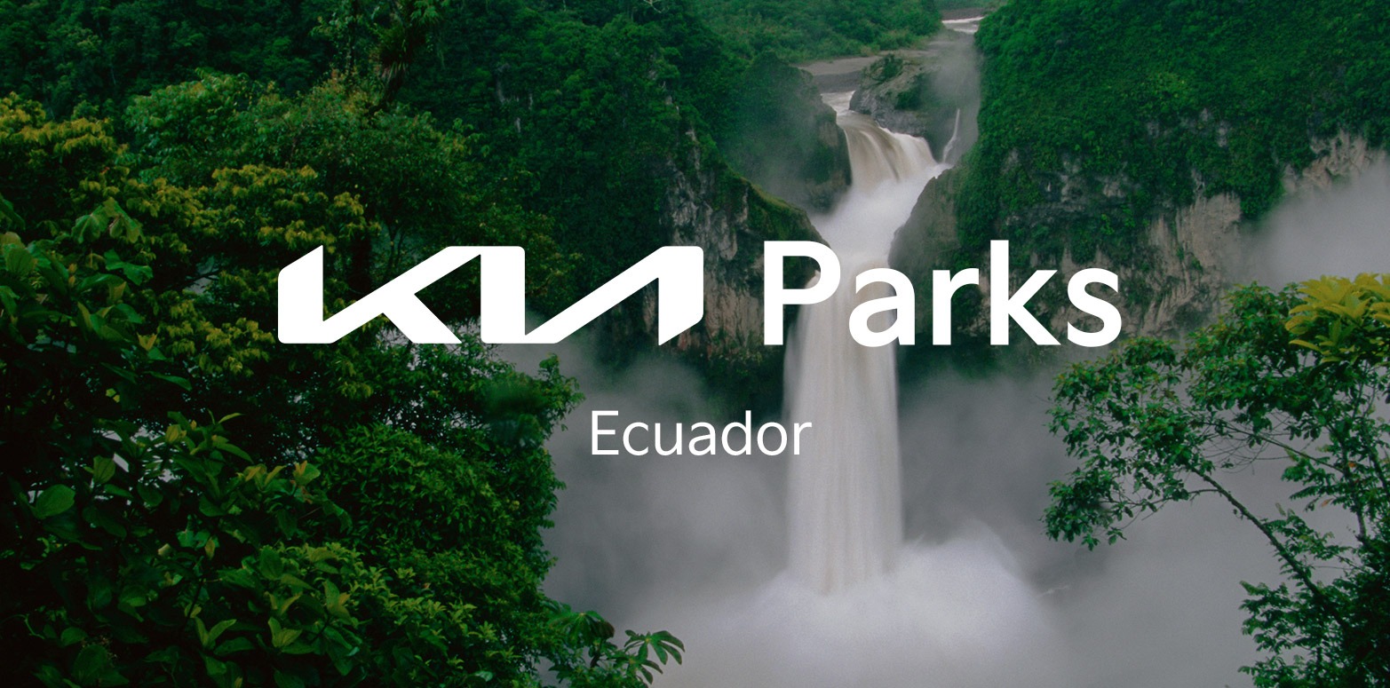 Kia Parks